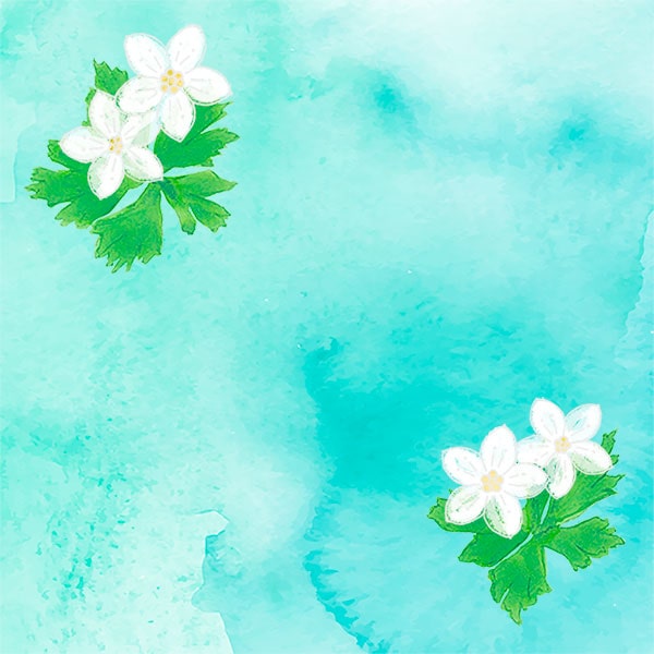 イラスト
